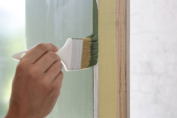 Best Indoor Air Quality Assessment  in Spring Lake Park, MN