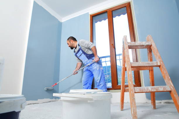 Best Attic Mold Removal  in Spring Lake Park, MN