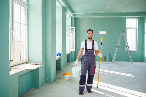 Best Real Estate Mold Inspection  in Spring Lake Park, MN