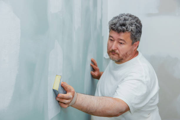 Best Mold Removal for HVAC Installations  in Spring Lake Park, MN