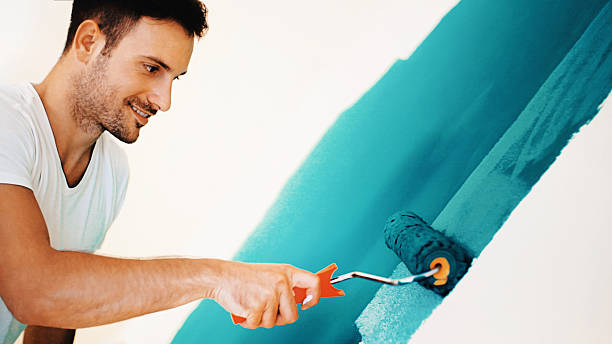 Best Mold Remediation for Healthcare Facilities  in Spring Lake Park, MN